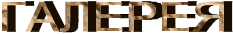 v:shapes="_x0000_s2630"